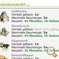 piraten browsergame